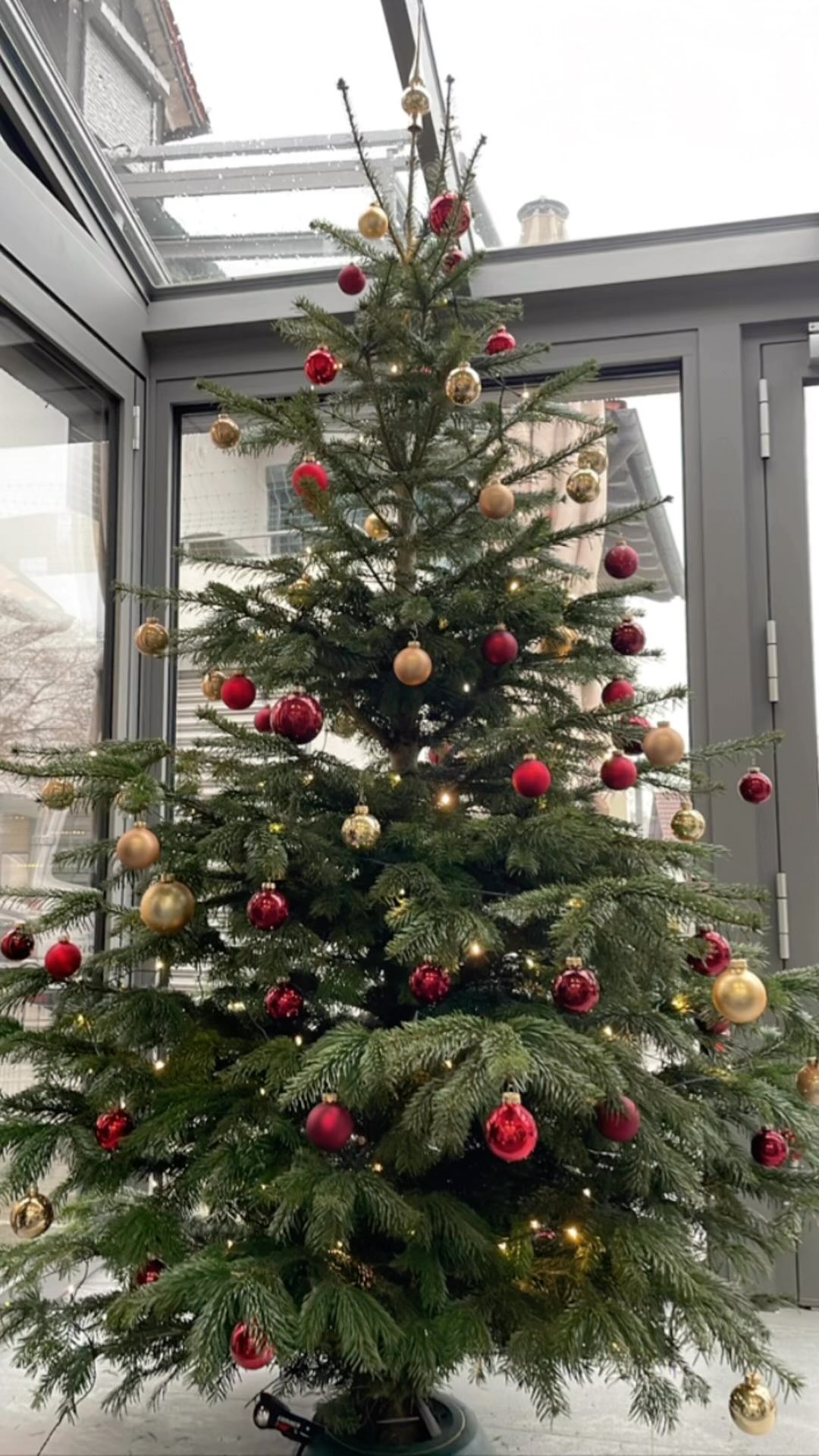 Wir haben heute bei uns die Weihnachtszeit eingeleutet und alle zusammen unsere Ausstellung festlich dekoriert! 🎄

& wie jedes Jahr - Vielen Dank an @oettlstefan für den schönen Baum! 😊

#kammererohg #einfachzumwohlfühlen #augsburg #ingolstadt #pfaffenhofen #schrobenhausen #aichach #aresing #montage #design #weihnachten #christbaum #spaßbeiderarbeit #outdoorliving #outdoorsonnenschutz #garten #sonne #ausbildung